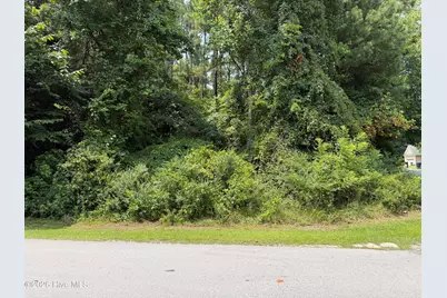 919 Mandarin Trail, Jacksonville, NC 28540 - Photo 3