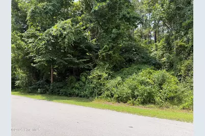 919 Mandarin Trail, Jacksonville, NC 28540 - Photo 5
