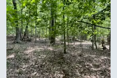 147 Rebecca Lane, McCormick, SC 29835 - Photo 7