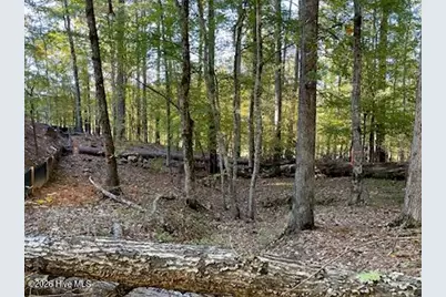 147 Rebecca Lane, McCormick, SC 29835 - Photo 7