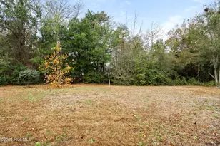 159 Tillett Ln, Sneads Ferry, NC 28460 - Photo 35