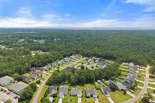 105 Penquin Pl, Hampstead, NC 28443 - Photo 57