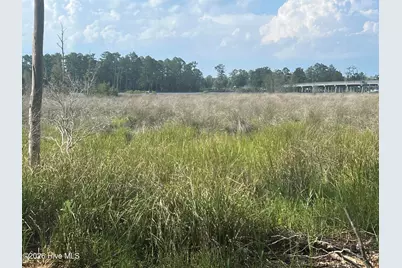 Lot 4 Cedar Lane, Belhaven, NC 27810 - Photo 11