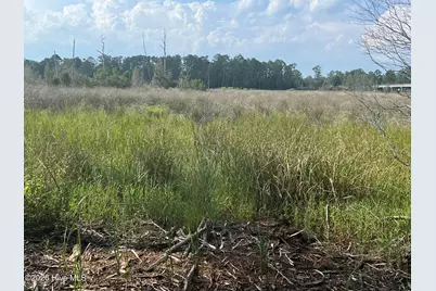 Lot 4 Cedar Lane, Belhaven, NC 27810 - Photo 13