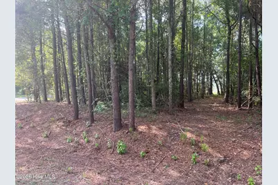 Lot 4 Cedar Lane, Belhaven, NC 27810 - Photo 11