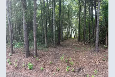 Lot 4 Cedar Lane, Belhaven, NC 27810 - Photo 15