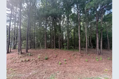 Lot 4 Cedar Lane, Belhaven, NC 27810 - Photo 15