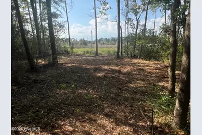 Lot 4 Cedar Lane, Belhaven, NC 27810 - Photo 3