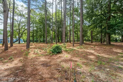 1355 Royal Colony Drive, Shallotte, NC 28470 - Photo 9