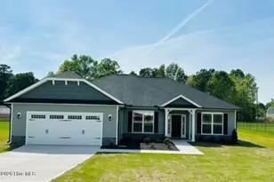 3518 Buster Ct, Bailey, NC 27807 - Photo 3