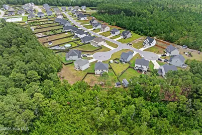 877 Stormy Gale Lane, Sneads Ferry, NC 28460 - Photo 39