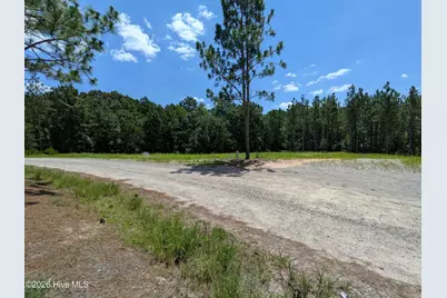 274 Charles Road, Eagle Springs, NC 27242 - Photo 3