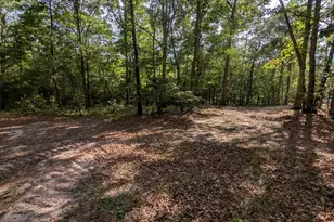Tbd Peyton Dr, Eagle Springs, NC 27242 - Photo 1