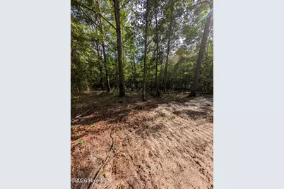 Tbd Peyton Drive, Eagle Springs, NC 27242 - Photo 3