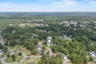 9613 Hidden Plum Rd NE, Leland, NC 28451 - Photo 49