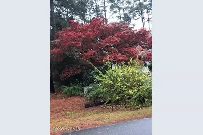 59 Pine Ridge Drive, Whispering Pines, NC 28327 - Photo 65