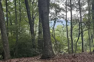Lot 43 Pine Cove Ln, Murphy, NC 28906 - Photo 1