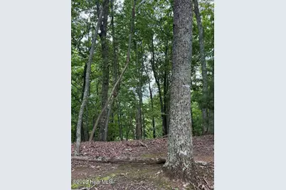 Lot 43 Pine Cove Lane, Murphy, NC 28906 - Photo 11