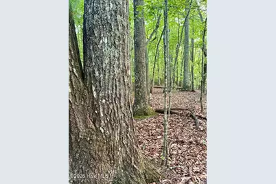 Lot 43 Pine Cove Lane, Murphy, NC 28906 - Photo 3