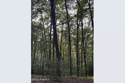 Lot 43 Pine Cove Lane, Murphy, NC 28906 - Photo 7