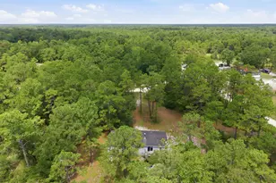265 Riverview Dr, Burgaw, NC 28425 - Photo 25