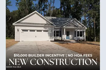 1702 Walnut Run Drive, Deep Run, NC 28525 - Photo 1
