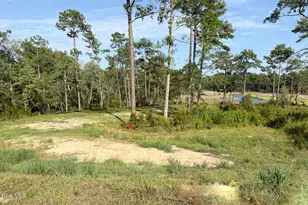 403 Salt Crk Rd, Swansboro, NC 28584 - Photo 1