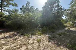 915 Blanche Ave, Carolina Beach, NC 28428 - Photo 1