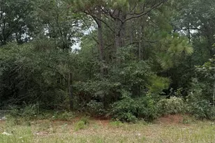 406 Douglas Dr, Beech Island, SC 29842 - Photo 1