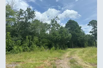 Near 99 Andrews Lake Drive, Tabor City, NC 28463 - Photo 3
