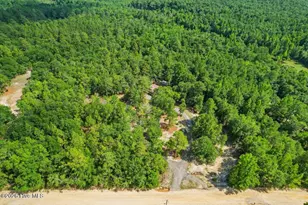 154 Blackberry Ln, Augusta, GA 30906 - Photo 39