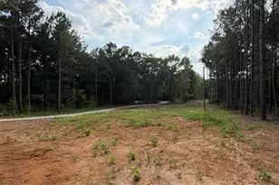 1209 Stapleton Acres Rd, Stapleton, GA 30823 - Photo 21