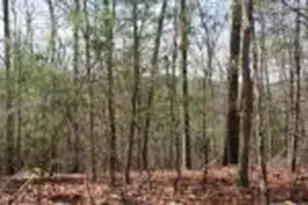 Lot 7 Lady Ln W, Murphy, NC 28906 - Photo 1