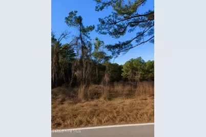 0 Roanoke Chapel Road, Littleton, NC 27850 - Photo 1