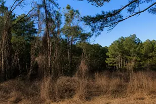 0 Roanoke Chapel Rd, Littleton, NC 27850 - Photo 1
