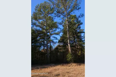 000 Roanoke Chapel Road, Littleton, NC 27850 - Photo 1