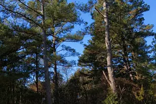 000 Roanoke Chapel Rd, Littleton, NC 27850 - Photo 1
