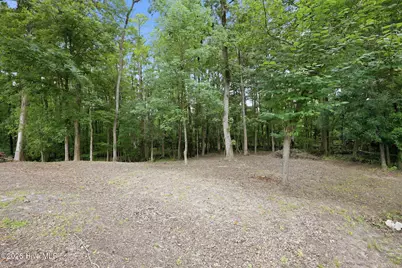 155 Tupelo Trail, New Bern, NC 28562 - Photo 29