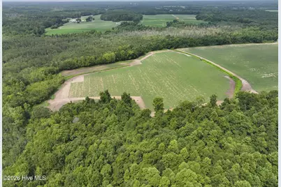 0 Huckleberry Road, Lucama, NC 27851 - Photo 3