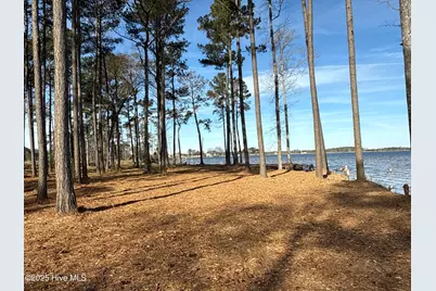 0 Norfleet Shores Road, Belhaven, NC 27810 - Photo 29
