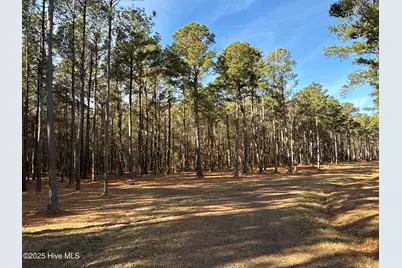 0 Norfleet Shores Road, Belhaven, NC 27810 - Photo 39