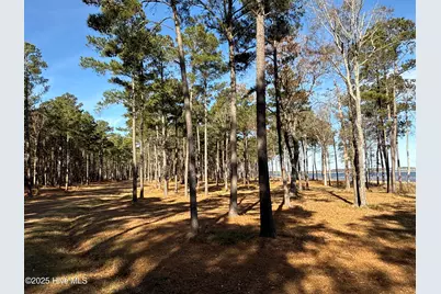 0 Norfleet Shores Road, Belhaven, NC 27810 - Photo 37