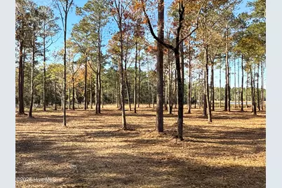 0 Norfleet Shores Road, Belhaven, NC 27810 - Photo 11