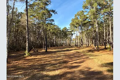 0 Norfleet Shores Road, Belhaven, NC 27810 - Photo 33