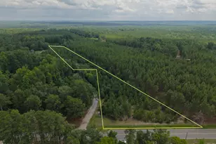 01581 Doubs Chapel Rd, West End, NC 27376 - Photo 1