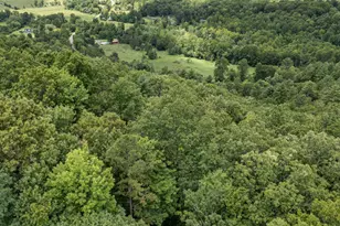 425 Boyd Ridge Dr, Murphy, NC 28906 - Photo 35