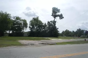 915 Hickman Rd, Tabor City, NC 28463 - Photo 1