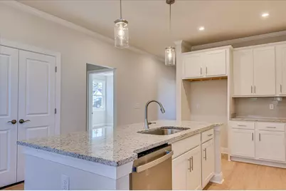 428 Minim Way, North Augusta, SC 29860 - Photo 11