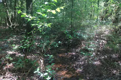 0 Crowatan Trail, Carthage, NC 28327 - Photo 9