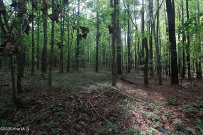 0 Crowatan Trail, Carthage, NC 28327 - Photo 13